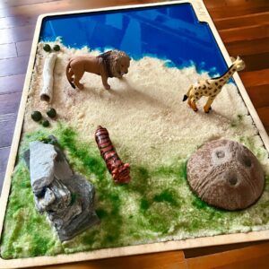 photoroom_20240206_211949